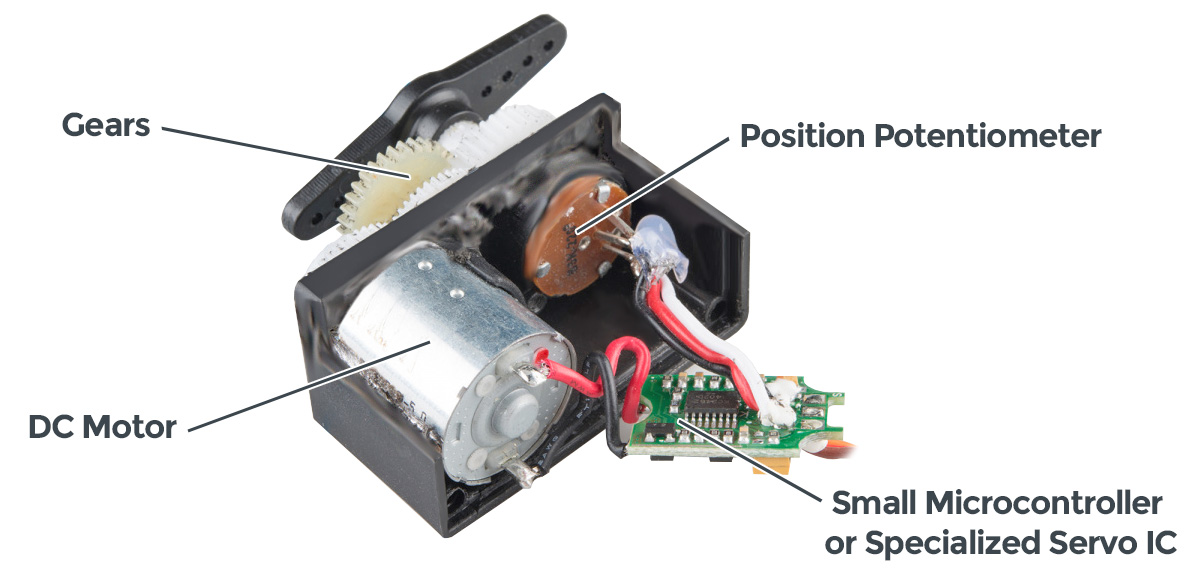 Opened hobby servo showing a DC motor, reduction gears, position potentiometer, and a small control circuit.